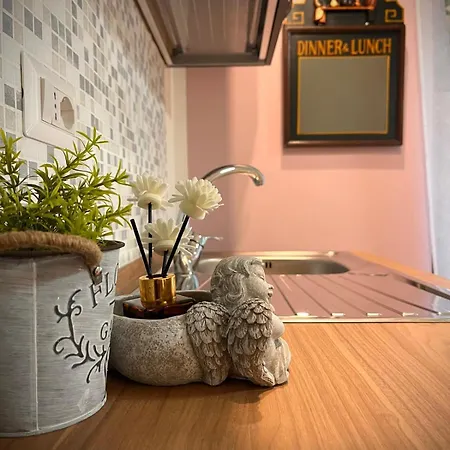 Eleganti In Centro Storico Apartment Verbania