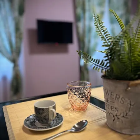 Eleganti In Centro Storico Apartment Verbania