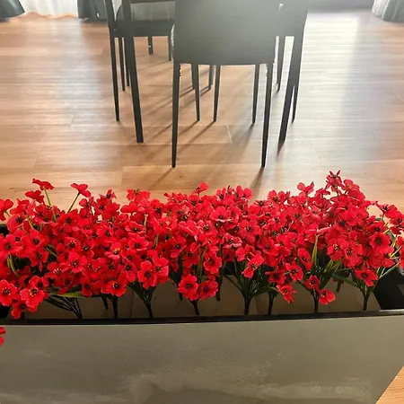 Apartman Elegant In The Historic Center *