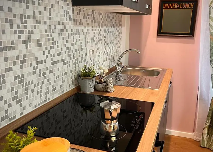 Elegant In The Historic Center Appartement