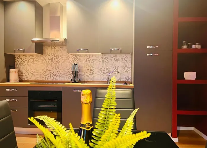 Apartamento Elegant In The Historic Center Verbania